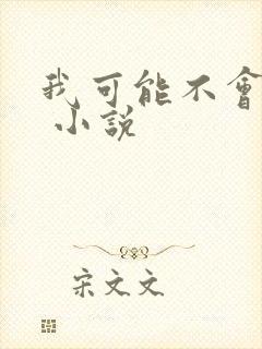 我可能不会爱你 小说