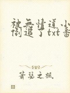 被无情道小师弟倒追了txt番外