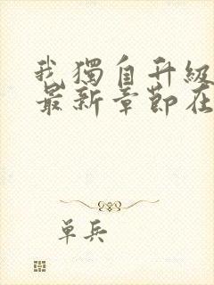 我独自升级小说最新章节在线阅读