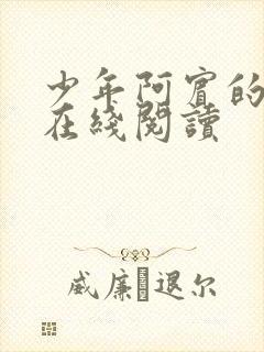 少年阿宾的故事在线阅读封面