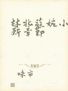 林北苏婉小说最新章节