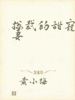 总裁的甜宠小娇妻