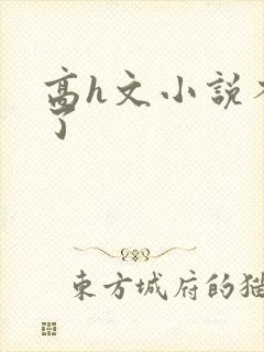 高h文小说不要了封面