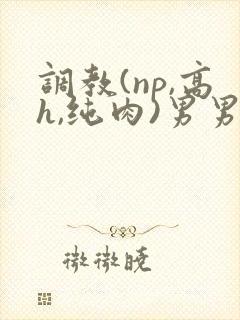 调教(np,高h,纯肉)男男封面