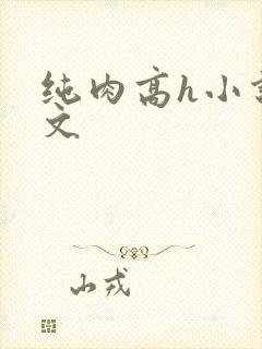纯肉高h小说辣文
