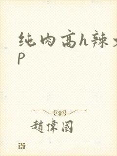 纯肉高h辣文np