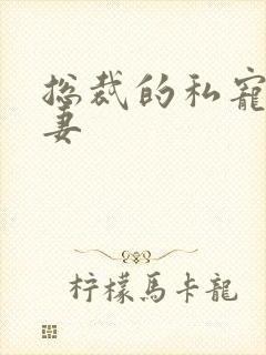 总裁的私宠小娇妻封面