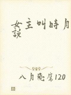 女主叫时月的小说