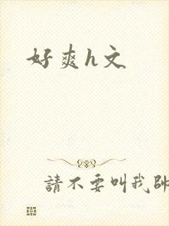 好爽h文