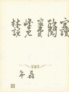 林峰宁欣官场小说免费阅读全文封面