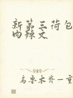 新第三荷包高h肉辣文