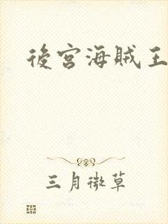 后宫海贼王封面