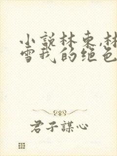 小说林东,林妙雪我的绝色老板娘