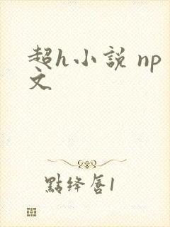 超h小说 np文