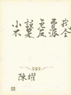 小说免费我真的不是反派全文阅读