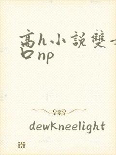 高h小说双女重口np封面