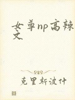 女尊np高辣h文