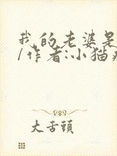 我的老婆是母狗/作者:小猫病