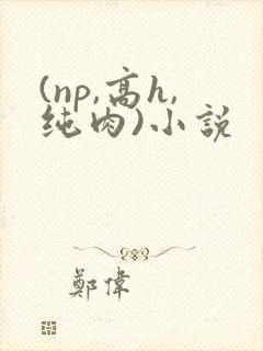 (np,高h,纯肉)小说