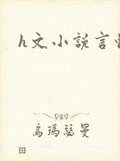 h文小说言情