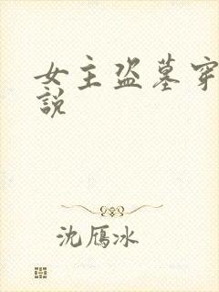 女主盗墓穿越小说封面