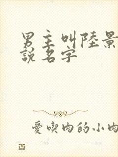 男主叫陆景的小说名字封面