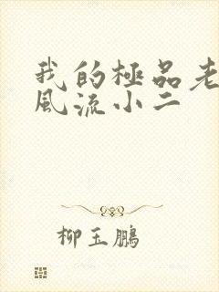 我的极品老婆们风流小二