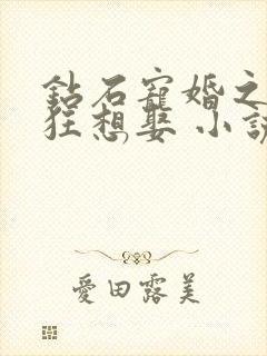 钻石宠婚之妙妻狂想娶 小说封面