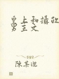 皇上和摄政王双男主文