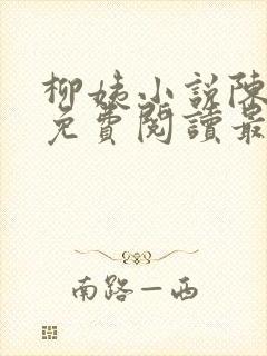 柳姨小说陈楚禾免费阅读最新章节