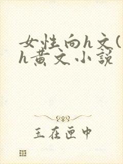 女性向h文(高h黄文小说封面