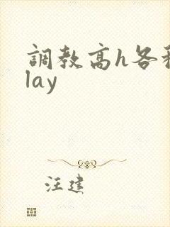 调教高h各种play