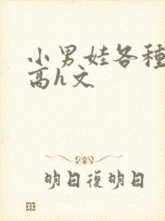 小男娃各种做肉高h文