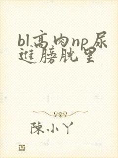 bl高肉np尿进膀胱里封面