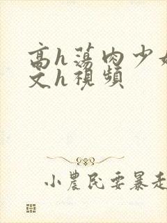 高h荡肉少妇爽文h视频