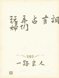 玩弄占有调教熟妇们封面