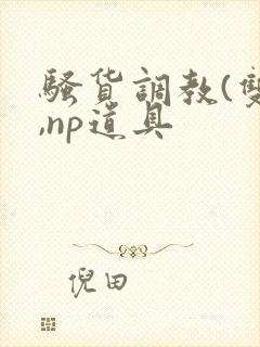 骚货调教(双性,np道具