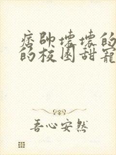 痞帅坏坏的校霸的校园甜宠文