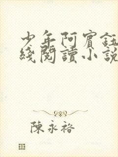 少年阿宾钰慧在线阅读小说txt