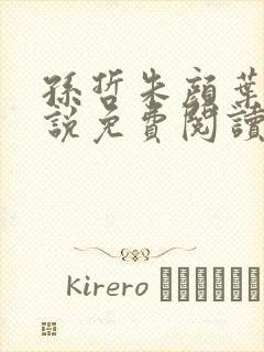 孙哲朱颜叶巧小说免费阅读笔趣阁