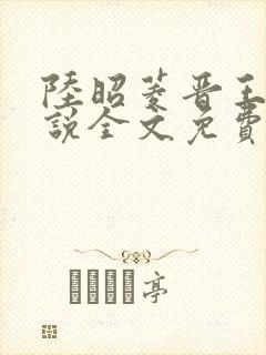 陆昭菱晋王的小说全文免费阅读封面