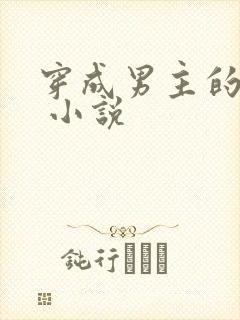 穿成男主的后妈 小说封面