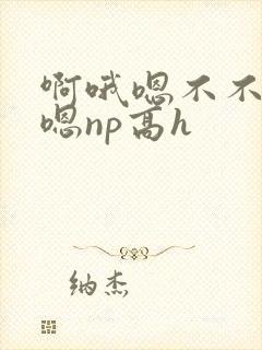 啊哦嗯不不要哦嗯np高h