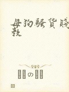 母狗骚货贱逼调教