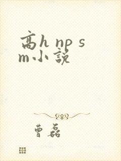 高h np sm小说封面