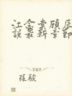 江念棠顾辰聿小说最新章节免费阅读