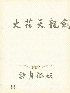 火花天龙剑封面