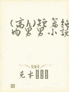 (高h)短篇纯肉男男小说