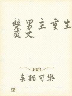 双男主重生复仇爽文