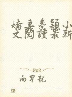 娇妻梦颖小说全文阅读最新章节更新